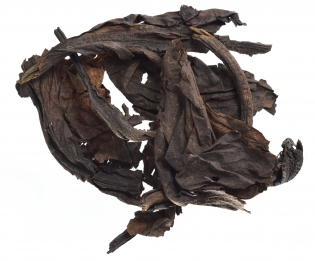 Бадан листья